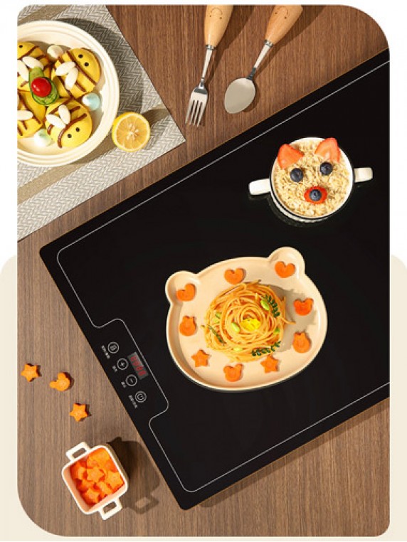 B102 Electric Warming Tray 