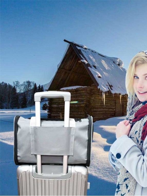 H24 Heated Bag for Dog 